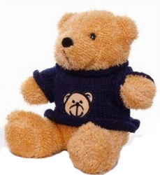 clothing teddy bear